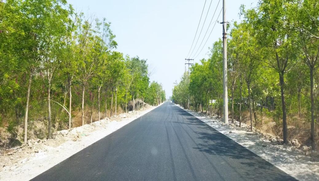 提前半年通车！王稳庄镇这条"民心路"升级完成，群众出行大提速！